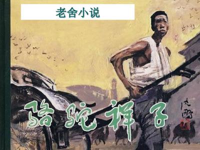 蘑菇tv网页版官方登录入口版